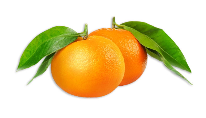 Mandarino di sicilia