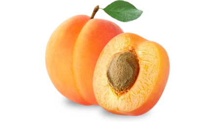 Sicilian apricots