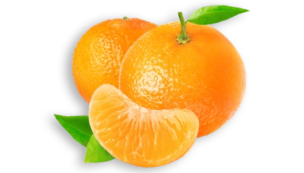 mandarino di sicilia