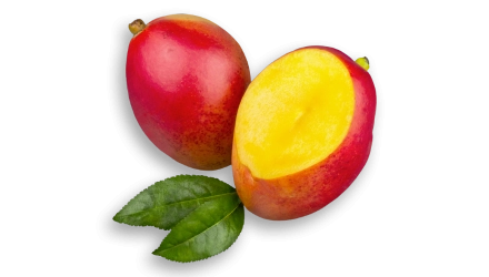 Sicilian mango