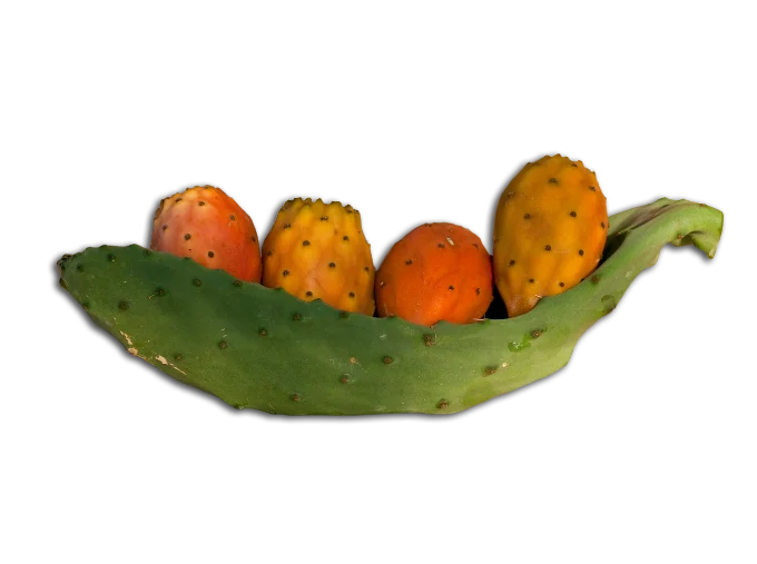 shovel-of-prickly pear-3