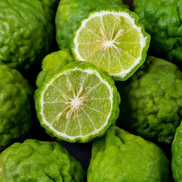 Bergamot